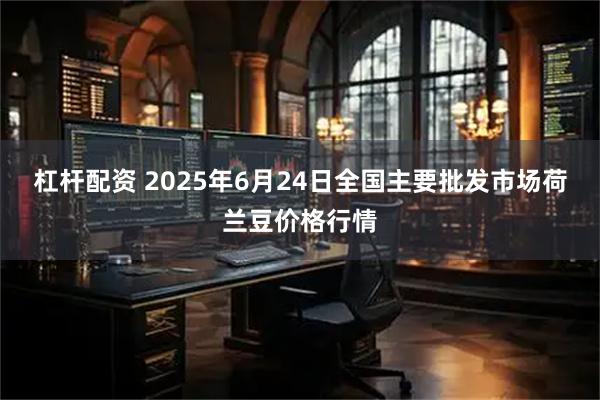 杠杆配资 2025年6月24日全国主要批发市场荷兰豆价格行情